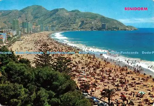 D076271 Benidorm. Levante Beach in der Karwoche. Hnos. Galiana