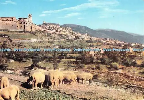 D075110 Assisi. Panoramablick von der Subasio-Berg. D.A.C.A. Rotalcolor