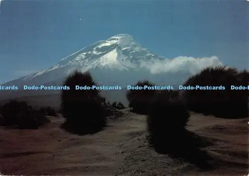 D078983 Chimborazo. Ecuador. Schweiz. Jura. Hanspeter Ryf. 1986