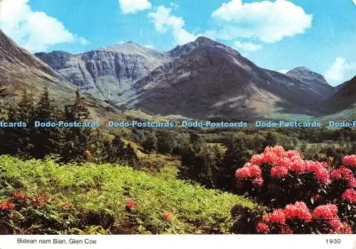 D075334 Glen Coe. Bidean nam Bian. Whiteholme. 1996