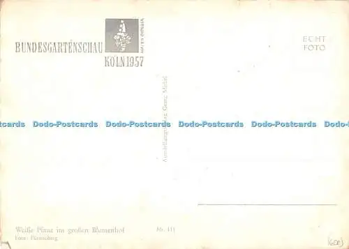 D076569 Weisse Pfaue im Großen Blumenhof. Georg Michel. Nr. 111. Fürstenberg. R