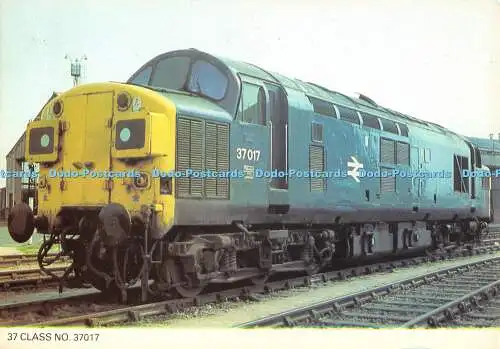 D080516 37 Klasse Nr. 37017. Präzision. Colourmaster International. Moderne Lok