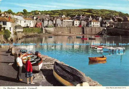 D079132 Hafen. Mausloch. Cornwall. Hinde