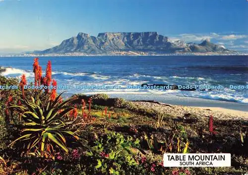 D077908 Tafelberg. Südafrika. Kaphalbinsel. Bloubergstrand. Mark van A