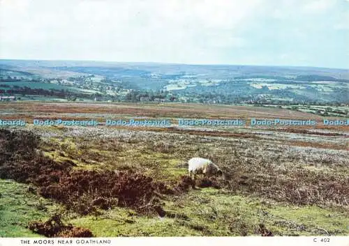 D079159 Mauren bei Goathland. C 402. Richter