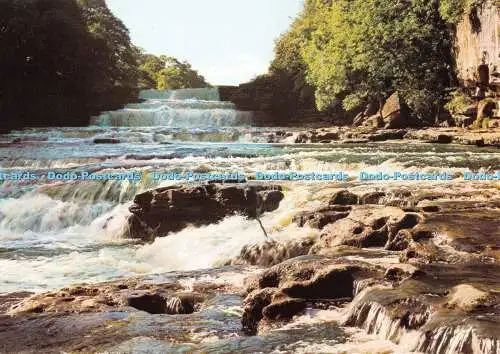 D077948 Lower Falls. Aysgarth. Yorkshire. Walter Scott. Farbserie. CY649