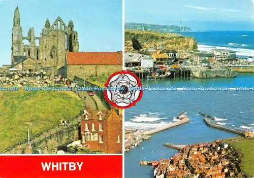 D077953 Whitby. Dennis. Multi View