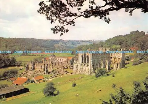 D077954 Rievaulx Abbey nr. Helmsley. Yorkshire. Dixon. PYD 86815