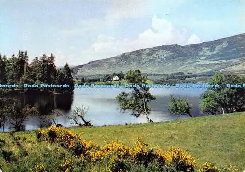 D080647 Loch Alvie. Inverness Shire. Dixon. 4768