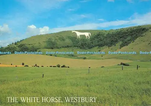 D077989 White Horse. Westbury. Lachs