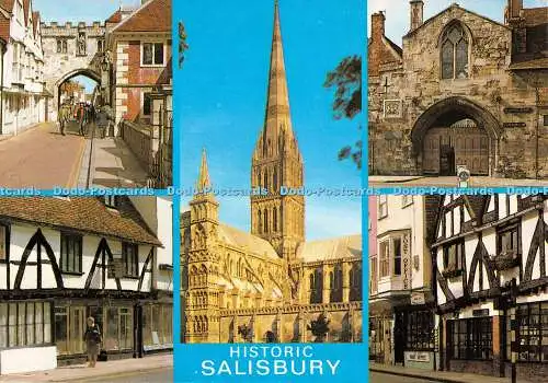 D077991 Historisches Salisbury. Lachs. Multi View