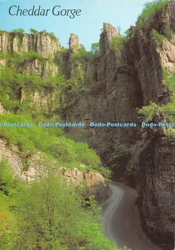 D076780 Cheddar-Schlucht. The Pinnacles. J. Lachs