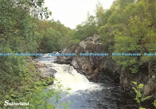 D080718 Sutherland. Heil Caledonia. Whiteholme. Falls of Shin