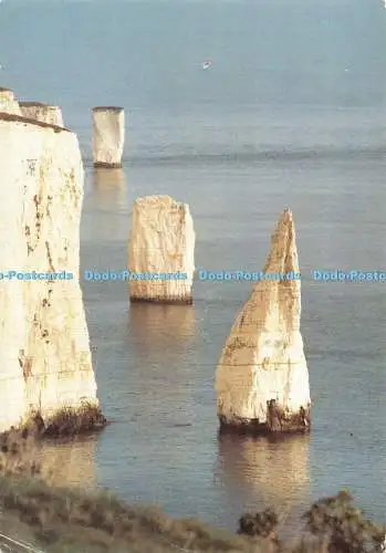D076852 Dorset. The Pinnacles Handfast Point. F. K. C. Pike. Delphin Drucker