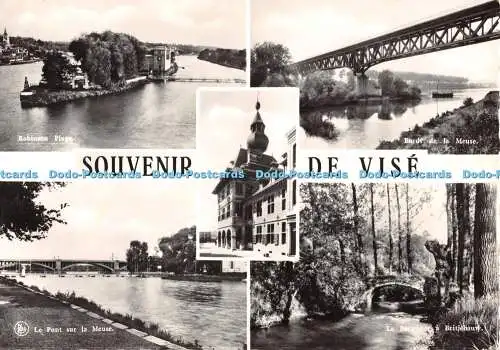 D082250 Souvenir de Vise. Robinson Plage. Bords de la Meuse. Maison Lehaen. Nels