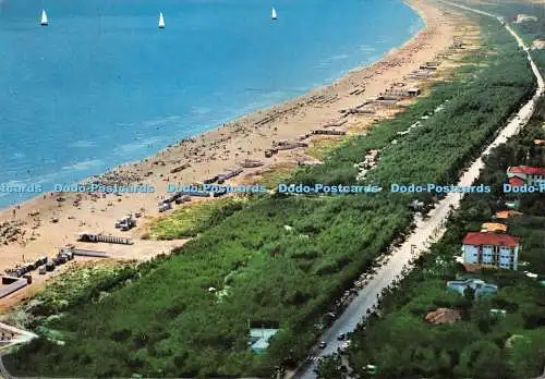 D079368 Marina di Ravenna. Panorama Pinienhain und Ufer. Fratelli Leonardi Rave