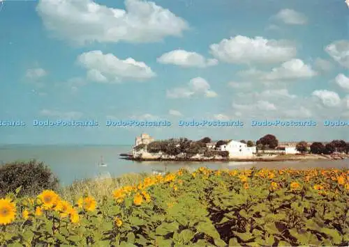 D079382 122. Talmont sur Gironde. Chte Mme. Lete. Vue du Cailaud. Herve et Leo