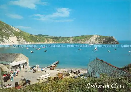 D080795 Lulworth Cove. Lachs