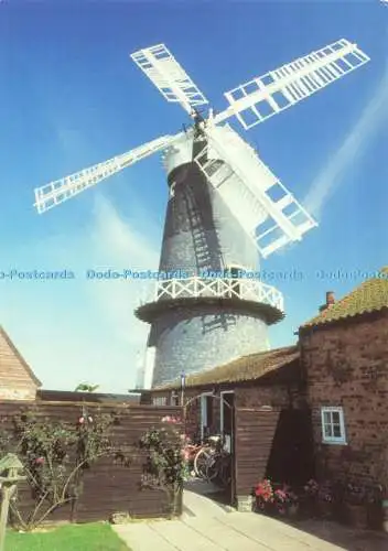 D076923 Norfolk. Tolle Birkenwindmühlen. BD. und H. Drucker