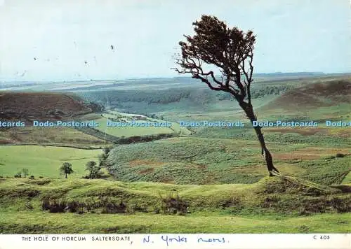 D082327 Saltersgate. Das Loch von Horcum. Richter. C 405