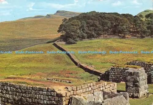 D082335 Housesteads. Die römische Mauer. Harvey Barton