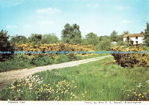 D079513 Sommerzeit. Norfolk Federation of Women Institutes. Richter. Miss K.C.