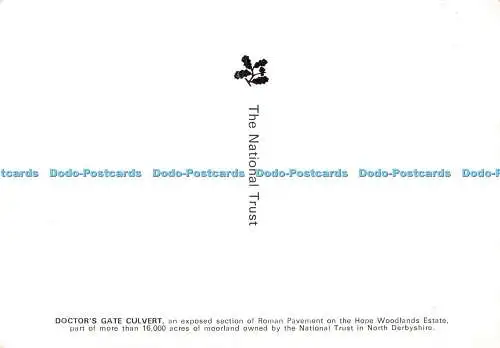 D080915 Doctors Gate Culvert. Römisches Pflaster. Hope Woodlands Estate. National Tr