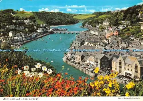 D082428 Cornwall. River Looe and Town. John Hinde. E. Ludwig