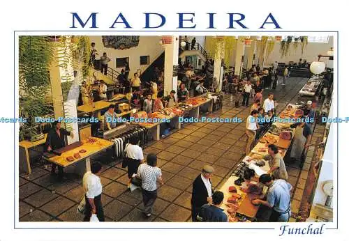 D078336 Madeira. Funchal. auf dem Fischmarkt. Francisco Ribeiro. Fisa. A. Spinol