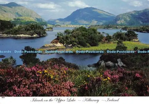 D078342 Irland. Killarney. Inseln am Obersee. Mac Publikationen. 2005