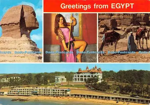 D082488 Grüße aus Ägypten. Gizeh. Die große Sphinx. Bauchtänzerin Hala Safy. Mu