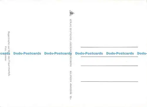 D082499 Regentopfen auf Blatt des Frauenmantels. Deutsches Jugendherbergswerk. S