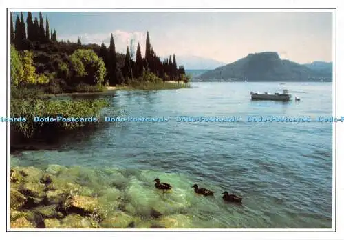 D078383 Garda. Gardasee. Rivetta Souvenirs. Via Vergnano