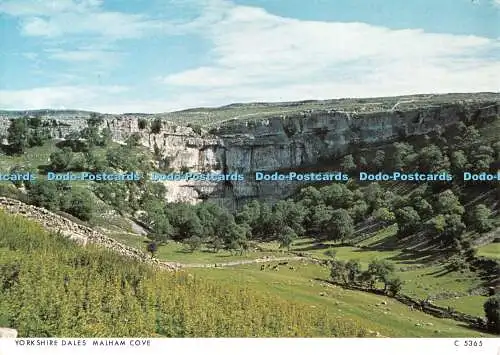 D081073 Yorkshire Dales. Malham Cove. Richter. C 5365