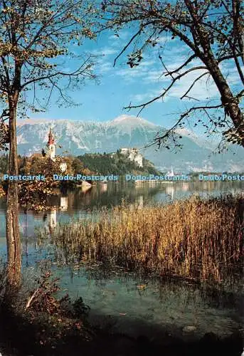 D082601 Bled. Slovenija. Simotisk. Mojca Prestor. 1983