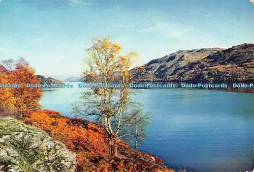 D081149 Inverness Shire. Loch Ness. J. Arthur Dixon