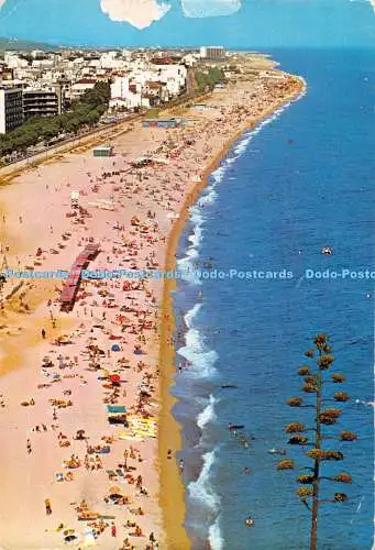 D082679 Calella. Blick vom Leuchtturm. Graficas Teixido. Nr. 105. Superfoto