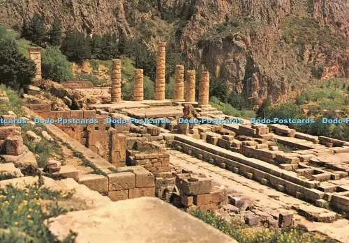 D079816 Delphi. Blick auf den Apollon-Tempel. Hera