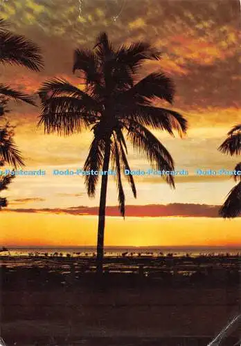 D082693 Tropical Sunrise. Ostafrika. Frank. RP