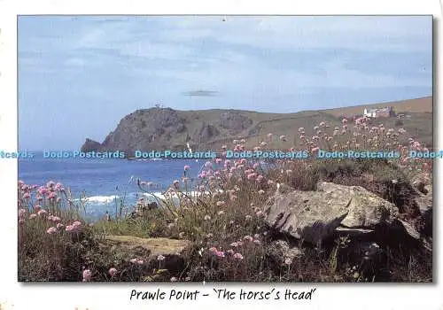 D080019 Prawle Point. Der Pferdekopf. Küstenkarten. South Devon Bilder. Südschinken
