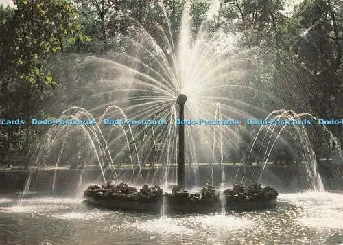 D081442 Petrodvorets. Der Sonnenbrunnen. UdSSR. Aurora Art Publishers. Yu. Velten.