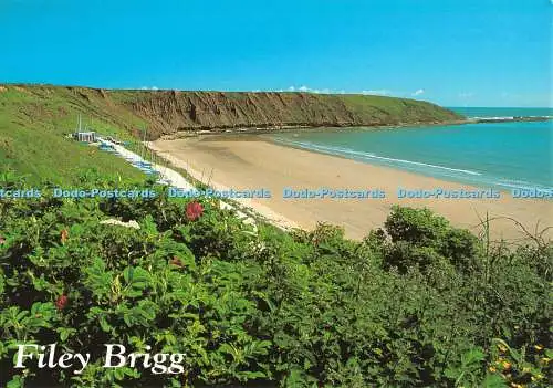 D083233 Filey Brigg. J. Salmon. Postkarte