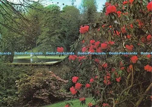 D080391 Devon. Ein Blick vom Shell House. Bicton. East Budleigh bei Exeter. B