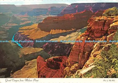 D083670 Grand Canyon von Mohave Point. Dexter Press. Fred Harvey. Mac Miller. 1
