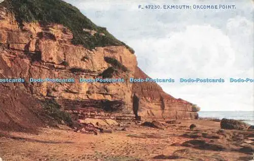 R202532 F 47230 Exmouth Orcombe Point Celesque Series Photochrom 1919