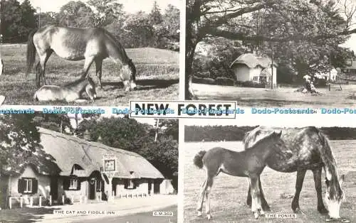 R202553 New Forest RP Thunder and Clayden Multi View