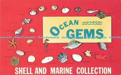 R198302 Ocean Gems Shell and Marine Collection Plastichrome Colourpicture Publis