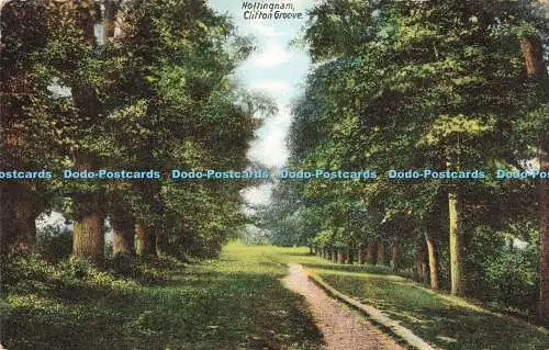R198623 Nottingham Clifton Groove