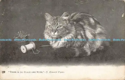 R200014 There is no Place like Home J Howard Payne Tuck Animal Life Serie 1341