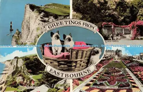 R203659 Grüße aus Eastbourne Norman Shoesmith und Etheridge 1965